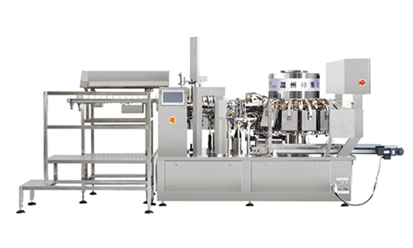 Automatic high speed pouch feeding vacuum packaaging machine