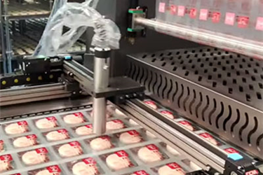 Thermoforming vacuum packaging machine